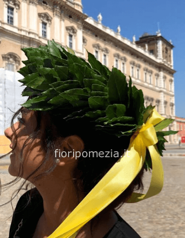 coroncina x laurea 200 foglie